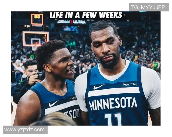 1月13日森林狼对阵鹈鹕精彩比赛录像回放分析与精彩瞬间回顾