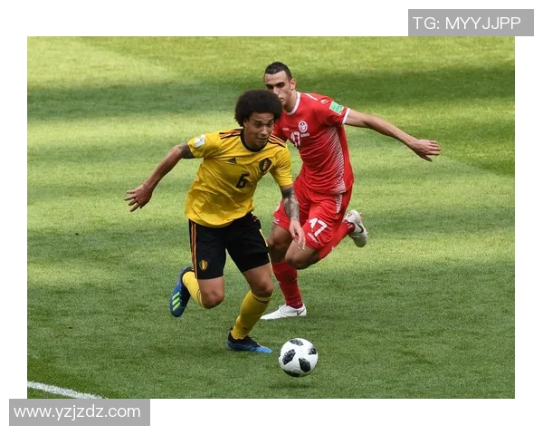 比利时与突尼斯亚盘对比分析及投注建议详解 比利时与突尼斯亚盘对比分析及投注建议详解